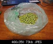 Shucked Peas