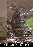 Tree #16 Cambie Save On Foods