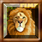 Check your knowledge of African animals by playing this addictive mahjong in African style. Click at the useridentical unlocked icons to delete them. The icon is unlocked when its two adjacent sides are opened. You win when all icons are destroyed.