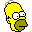 :homer: